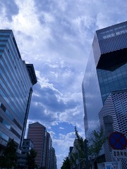 9D2D9185-5D6E-438A-975F-E6D6FB532767/L0/001