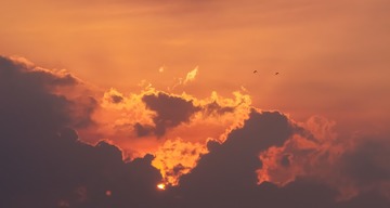 4EB27471-7F0B-43D3-8CD2-BF6D0CF73051/L0/001