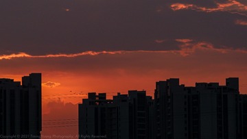 D715CB7F-8FC8-459E-8E67-0C392593787E/L0/001