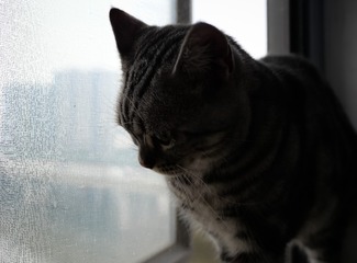5D8284FB-F46B-45A9-92EA-B23380ADB4EC/L0/001