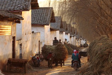 IMG_8400.JPG