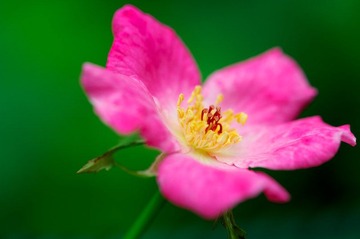 DSC_6030.jpg