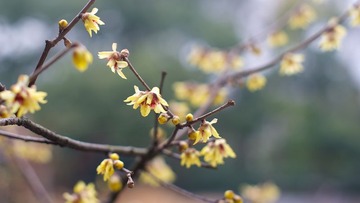 DSC_7426 - 版本 2.jpg