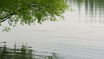 DSC_7869.jpg