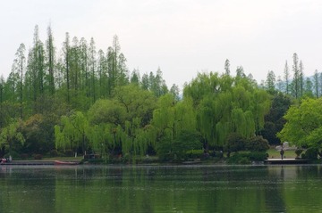 DSC_7903.jpg