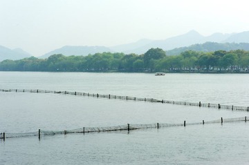 DSC_8004.jpg