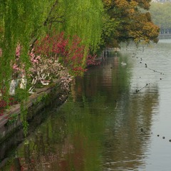 DSC_8028.jpg