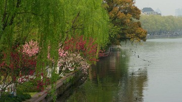 DSC_8033.jpg