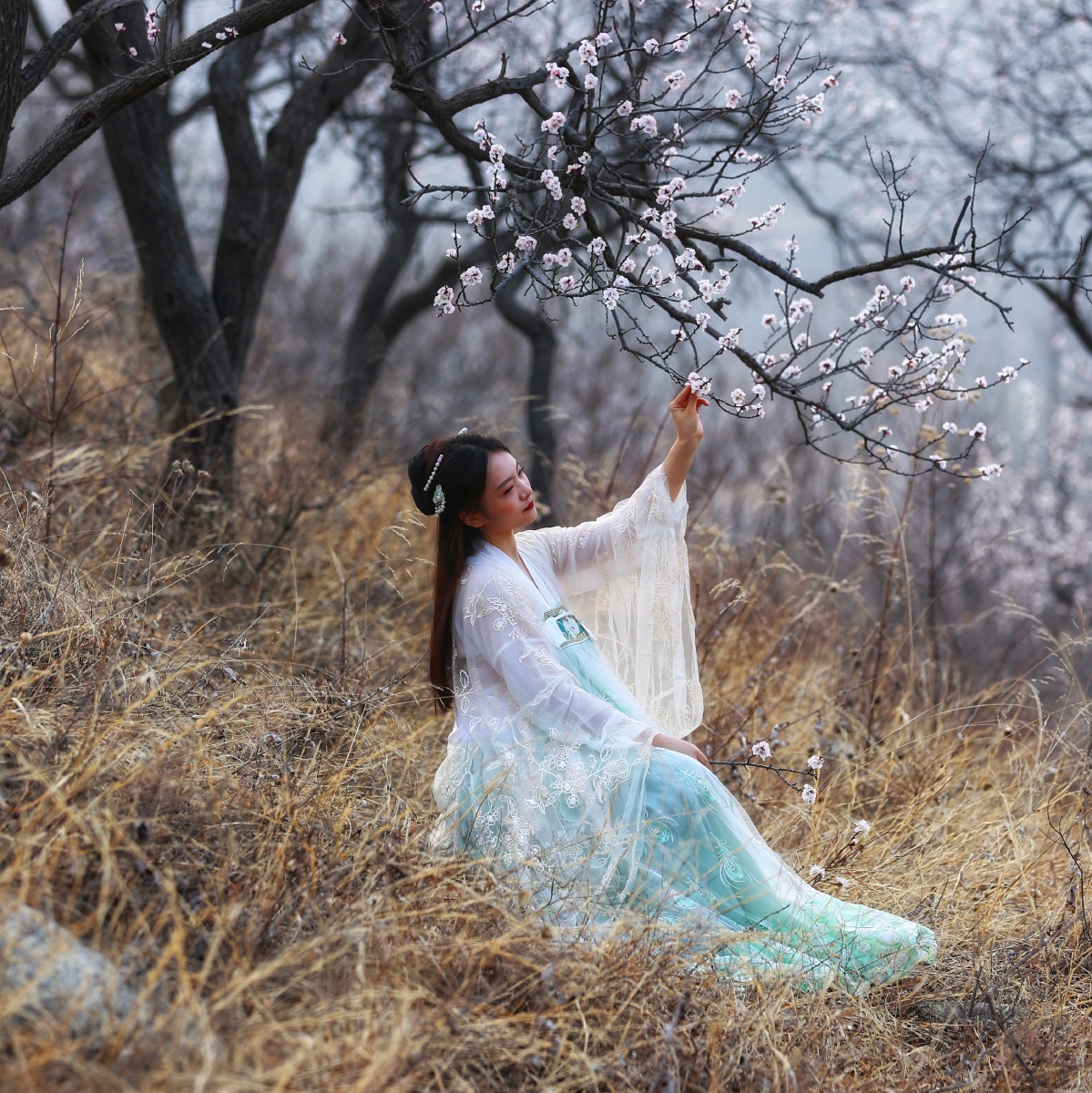 杏花人像
