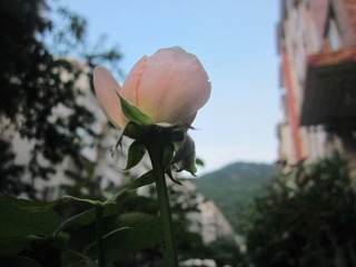 照片 300.jpg