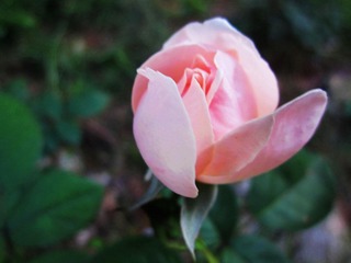 照片 268.jpg