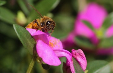 IMG_4665.jpg