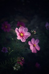1000168189