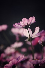 1000168158