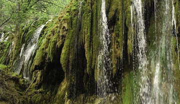 尼汝3.jpg