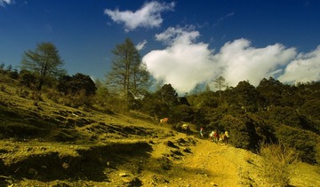 尼汝4.jpg