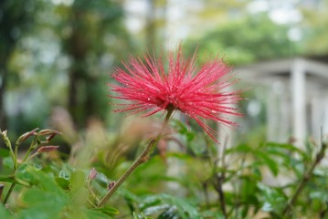 65F3ED80-B635-482C-B7DC-A9862676DBB6/L0/001