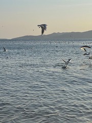 0BDCFA88-B9D3-41EE-814B-90531E00A6D7/L0/001