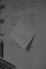 SDIM0374.JPG