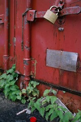 SDIM0646.jpg