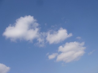 67686771-BA2D-4086-8B91-D293D986421D/L0/001