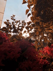 735F8B23-8B08-4733-B60F-EDBECD066A1C/L0/001