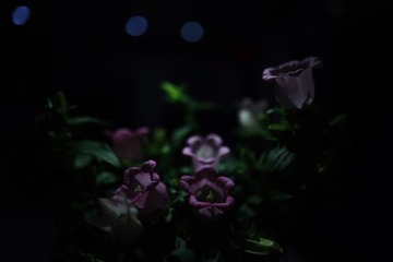7D21E373-6A2A-4D15-AD2A-51B5809E5CF9/L0/001