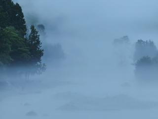 1000038319