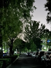 978B8851-E988-42CC-B4AB-0508A236F6C0/L0/001
