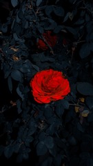 86827B2F-B9AB-4FAF-AA61-48F9097625DF/L0/001
