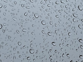 0C4949C5-516A-4839-BC18-911AF3059405/L0/001