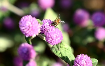 D3613F65-116E-472C-A656-6D469F3E573A/L0/001