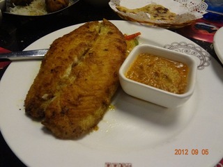 DSC03237.JPG