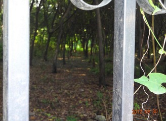 DSC03524_副本.jpg