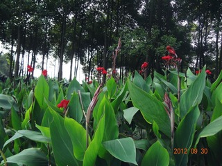 DSC03461_副本.jpg