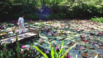 DSC03833_副本.jpg