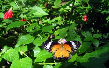 DSC03835_副本.jpg