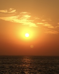 058F7799-0C19-4CF7-8201-91EFC93C38B1/L0/001