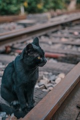 314389