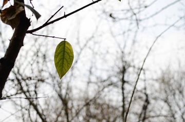 DSC_0564.JPG