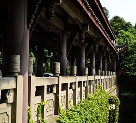 桥下.jpg