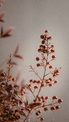 8D5348BF-63A6-4848-B00A-34FD03B3BF8E/L0/001