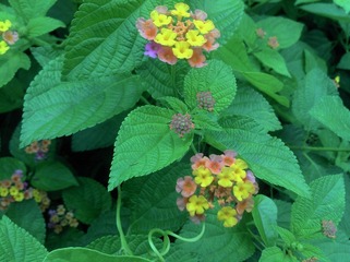 2012-04-26_16-23-01_656.jpg