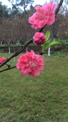 2012-03-07_10-04-14_632_旋转.jpg