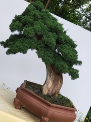 547624