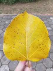 553741