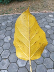 553742