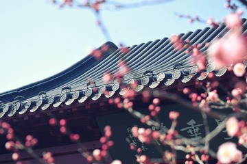 822D9A78-99DC-4DEC-8B0C-4A6D2272C90A/L0/001