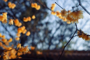 8B87E8AB-6FC0-4F67-86F5-D5284C6ADD1C/L0/001