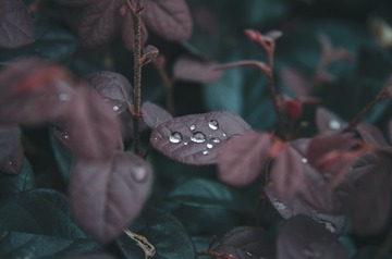 9488